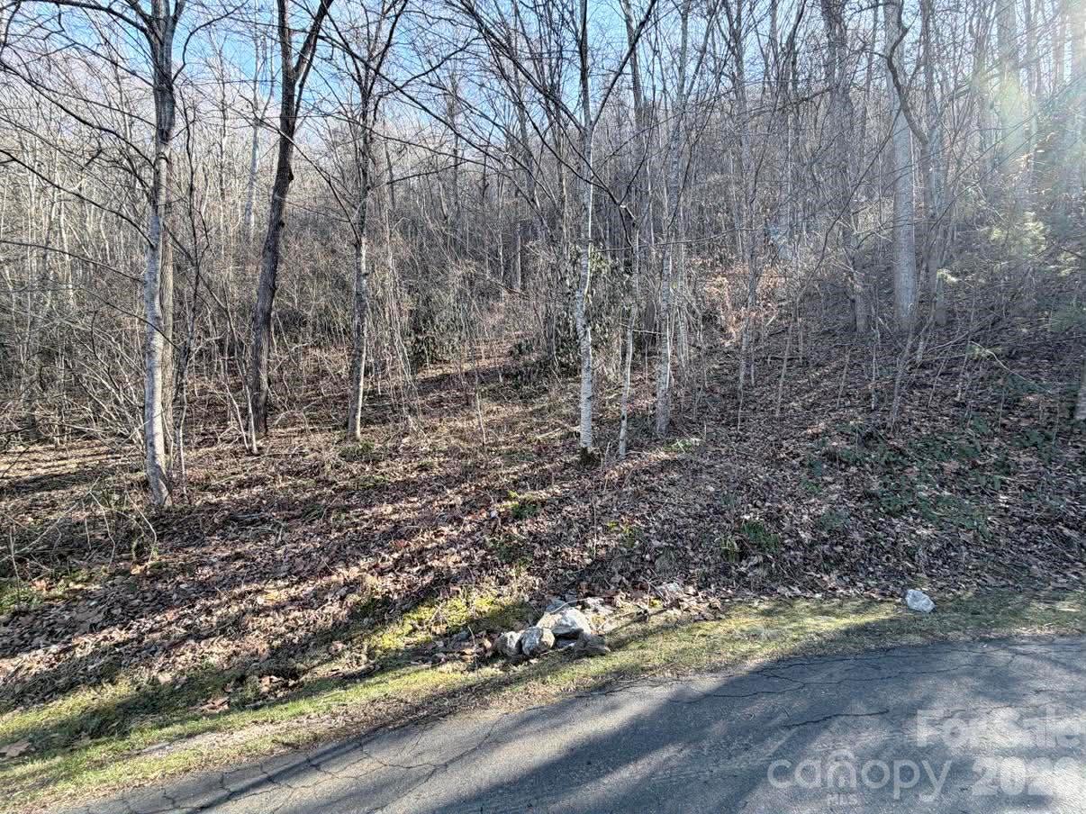 76 View Ridge Parkway Leicester NC 28748