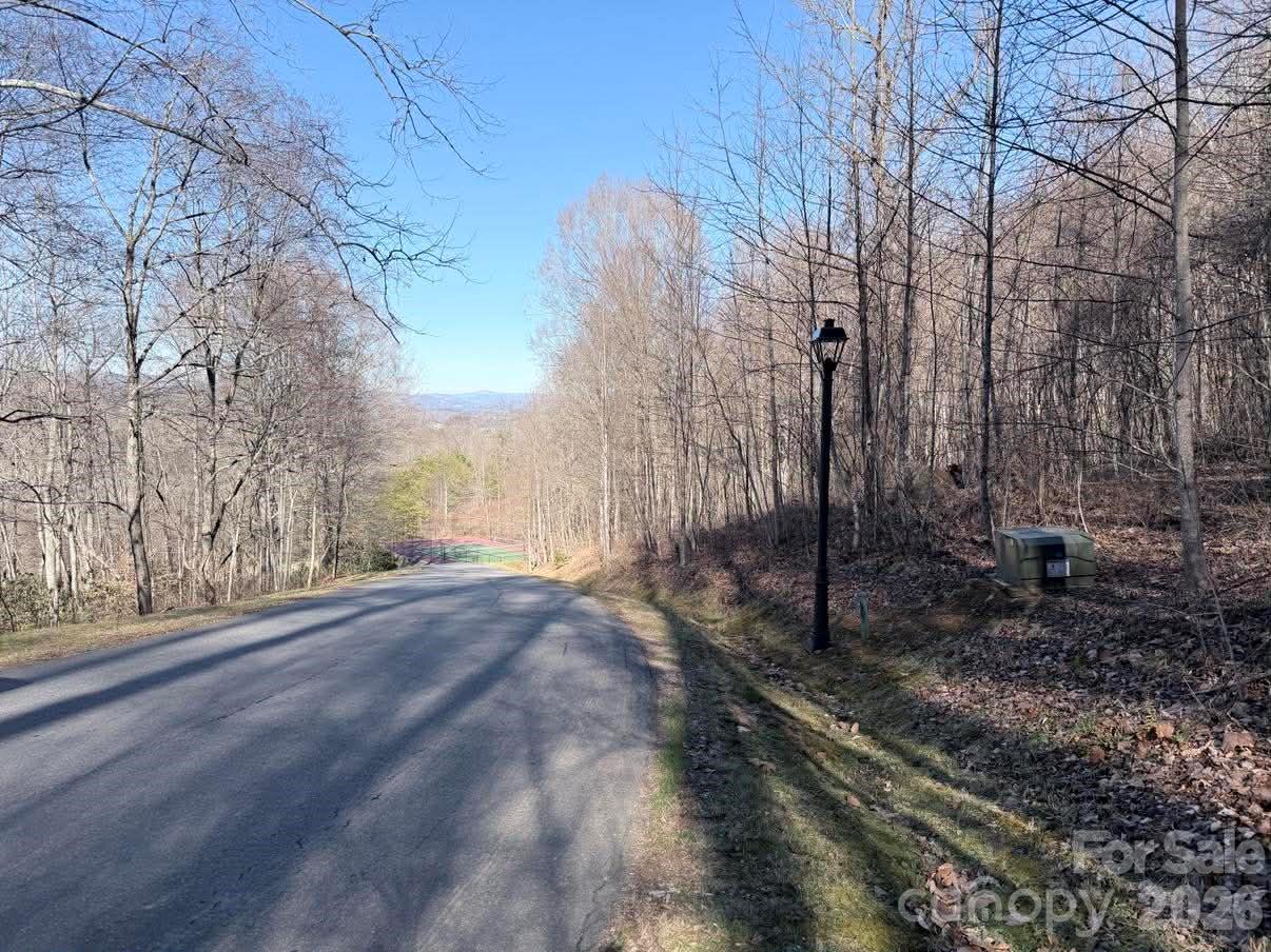 76 View Ridge Parkway Leicester NC 28748