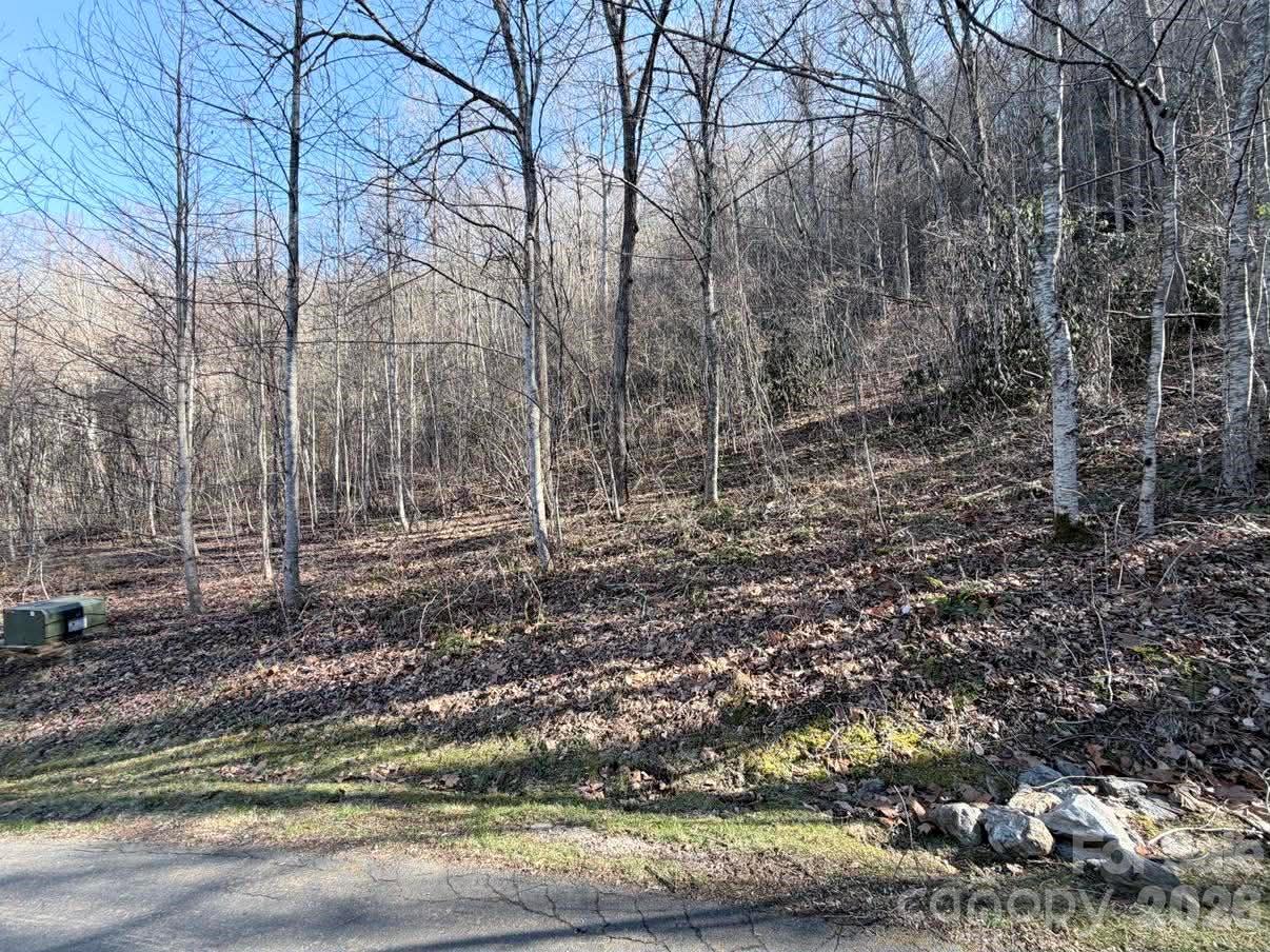 76 View Ridge Parkway Leicester NC 28748