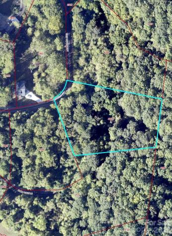 76 View Ridge Parkway Leicester NC 28748