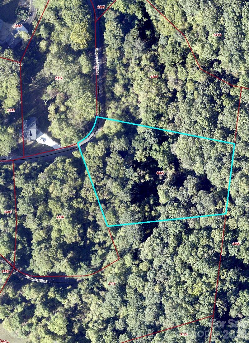 76 View Ridge Parkway Leicester NC 28748