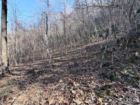76 View Ridge Parkway Leicester NC 28748