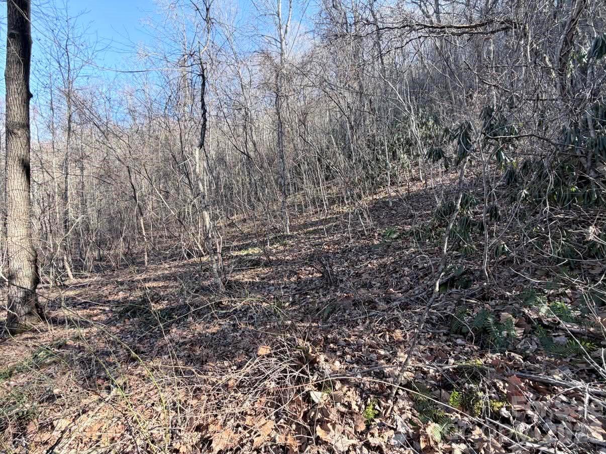 76 View Ridge Parkway Leicester NC 28748