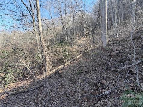 76 View Ridge Parkway Leicester NC 28748
