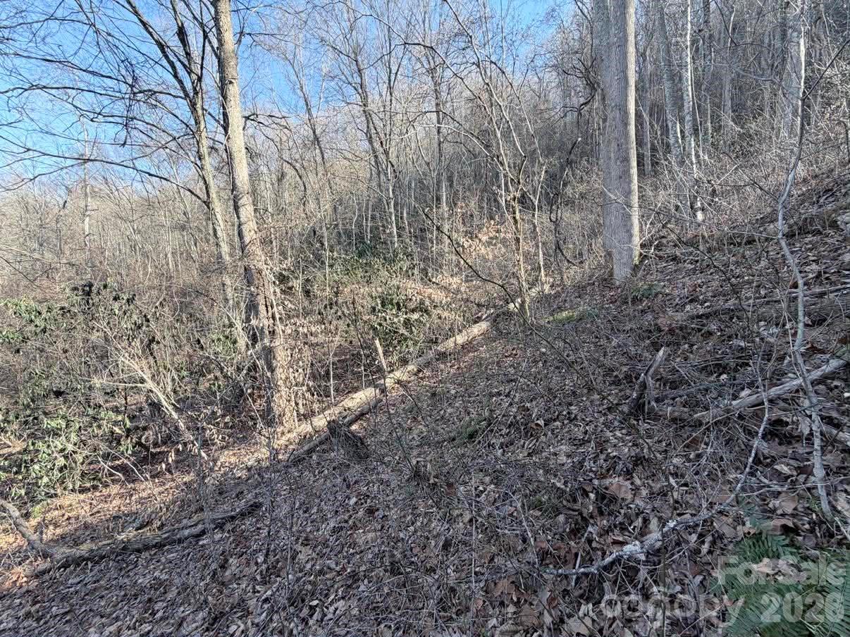 76 View Ridge Parkway Leicester NC 28748
