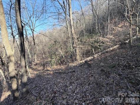76 View Ridge Parkway Leicester NC 28748