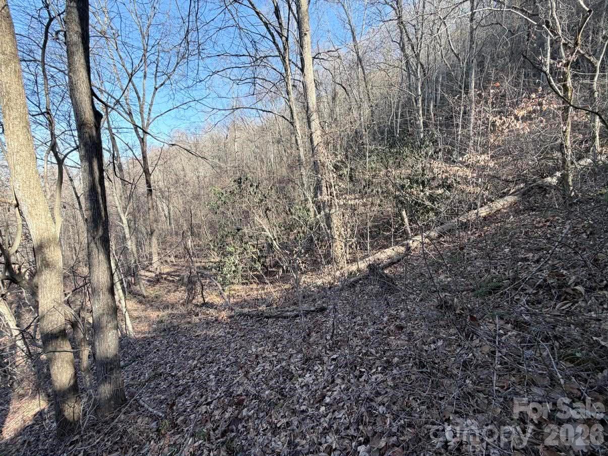 76 View Ridge Parkway Leicester NC 28748