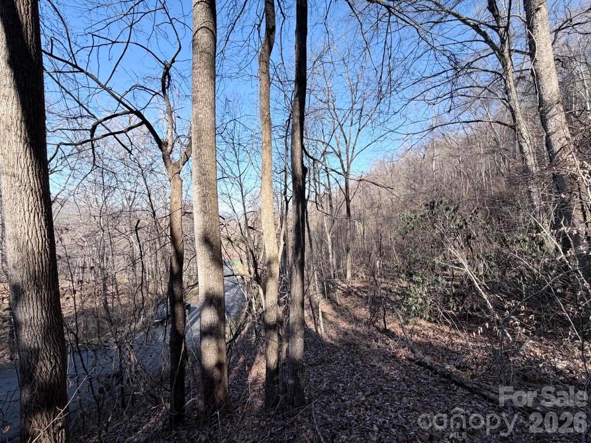 76 View Ridge Parkway Leicester NC 28748