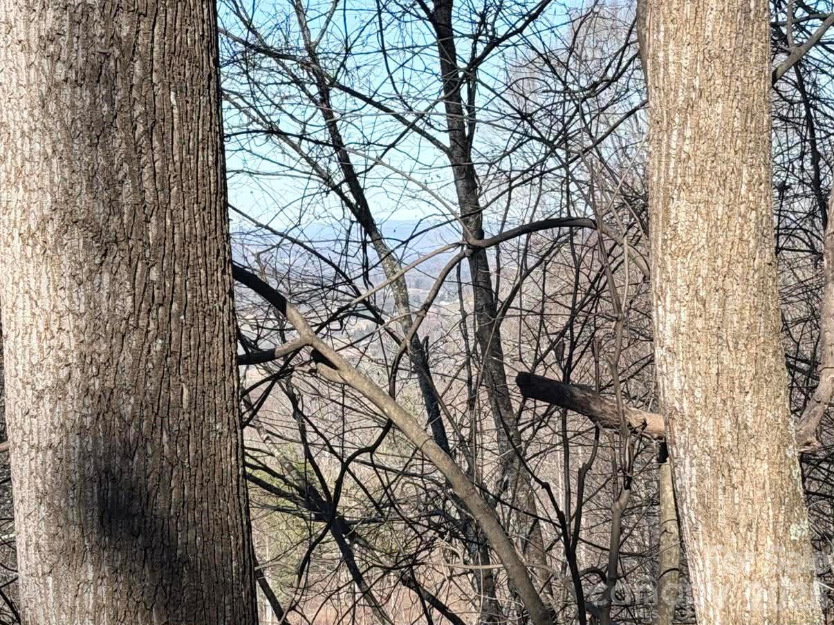 76 View Ridge Parkway Leicester NC 28748
