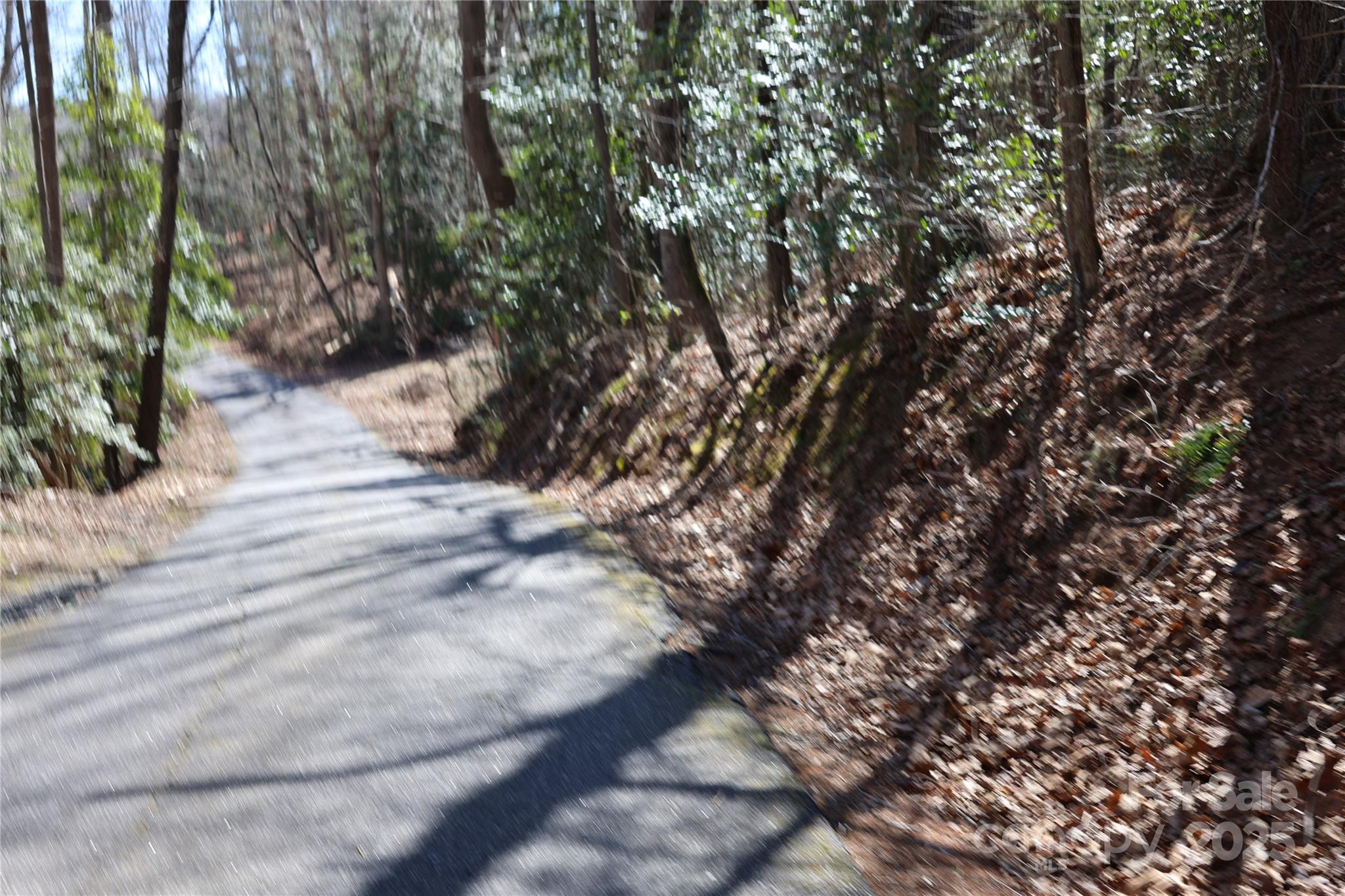00 Crappie Hollow Lane Taylorsville NC 28681
