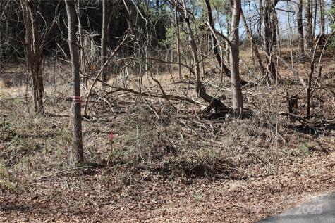 00 Crappie Hollow Lane Taylorsville NC 28681