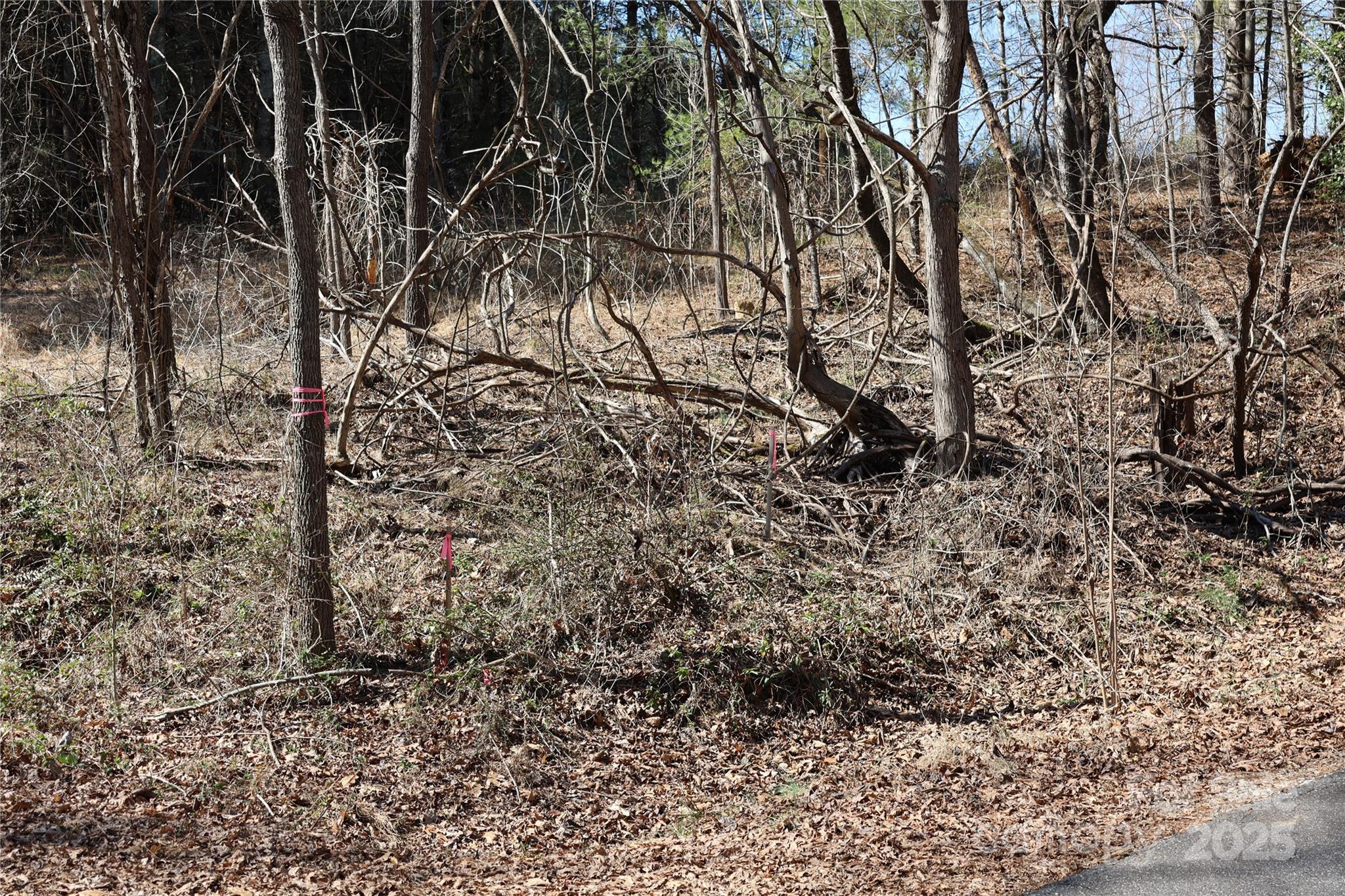 00 Crappie Hollow Lane Taylorsville NC 28681