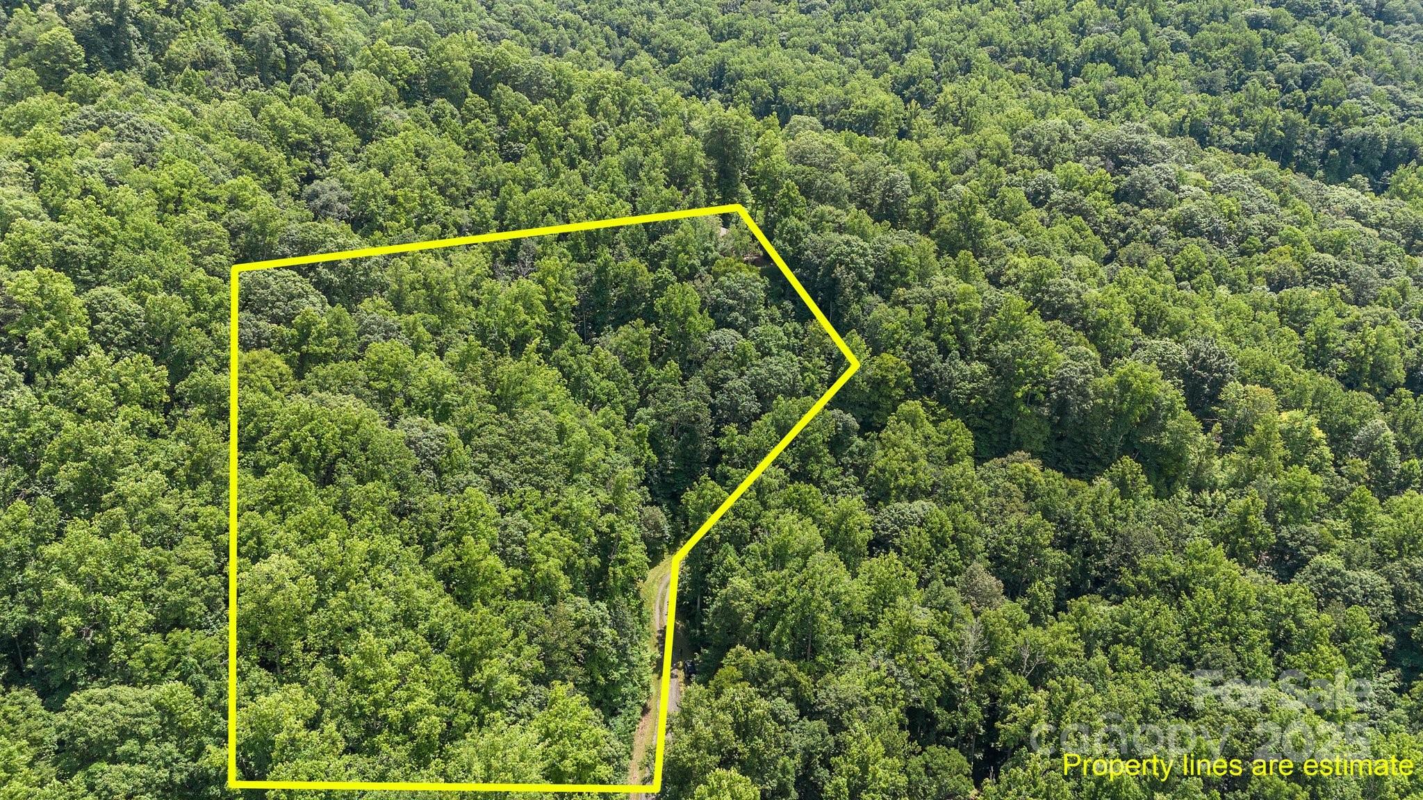 #10 & 44 Poplar Path Mars Hill NC 28754