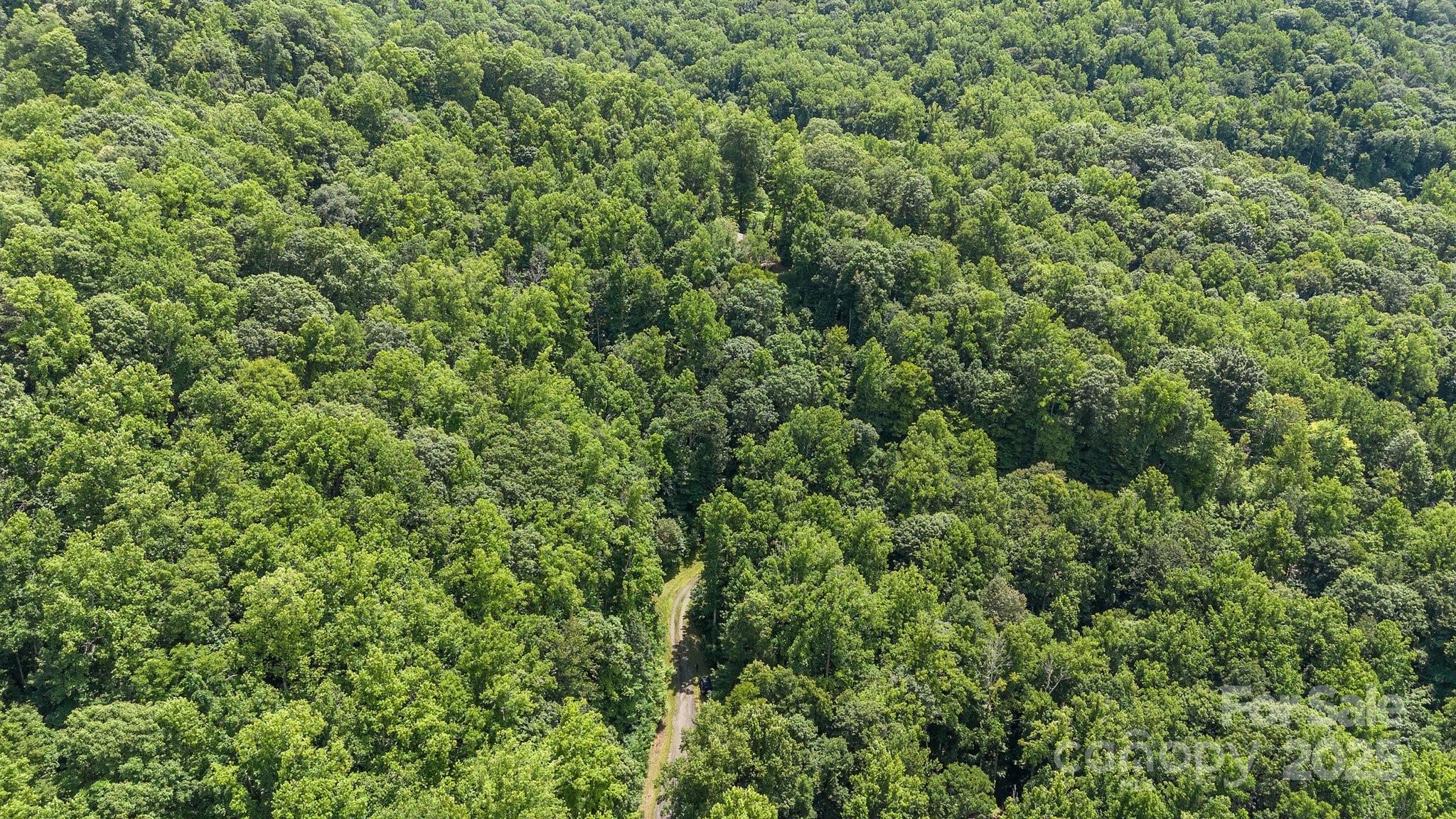 #10 & 44 Poplar Path Mars Hill NC 28754