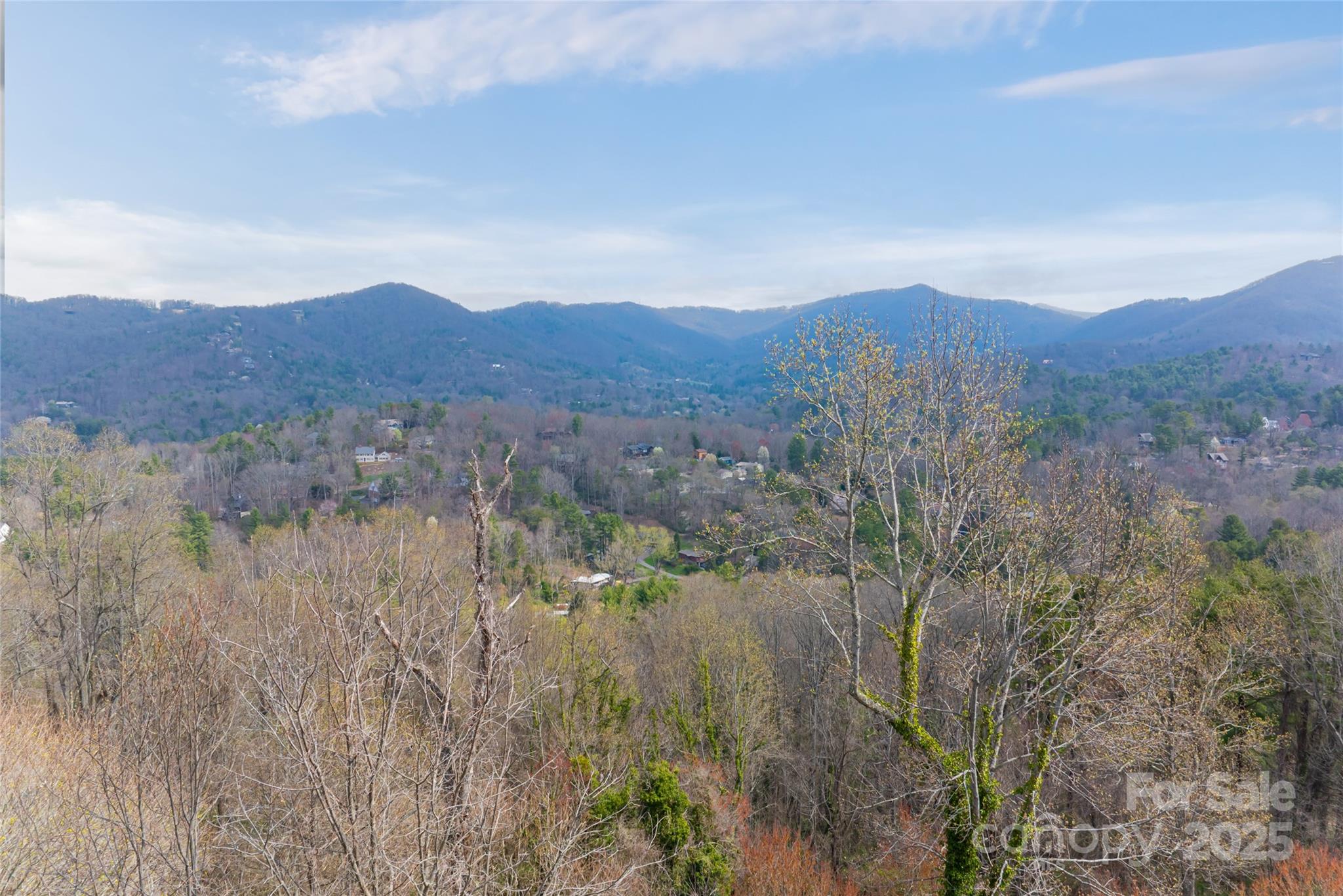 32 Grovepoint Way Asheville NC 28804