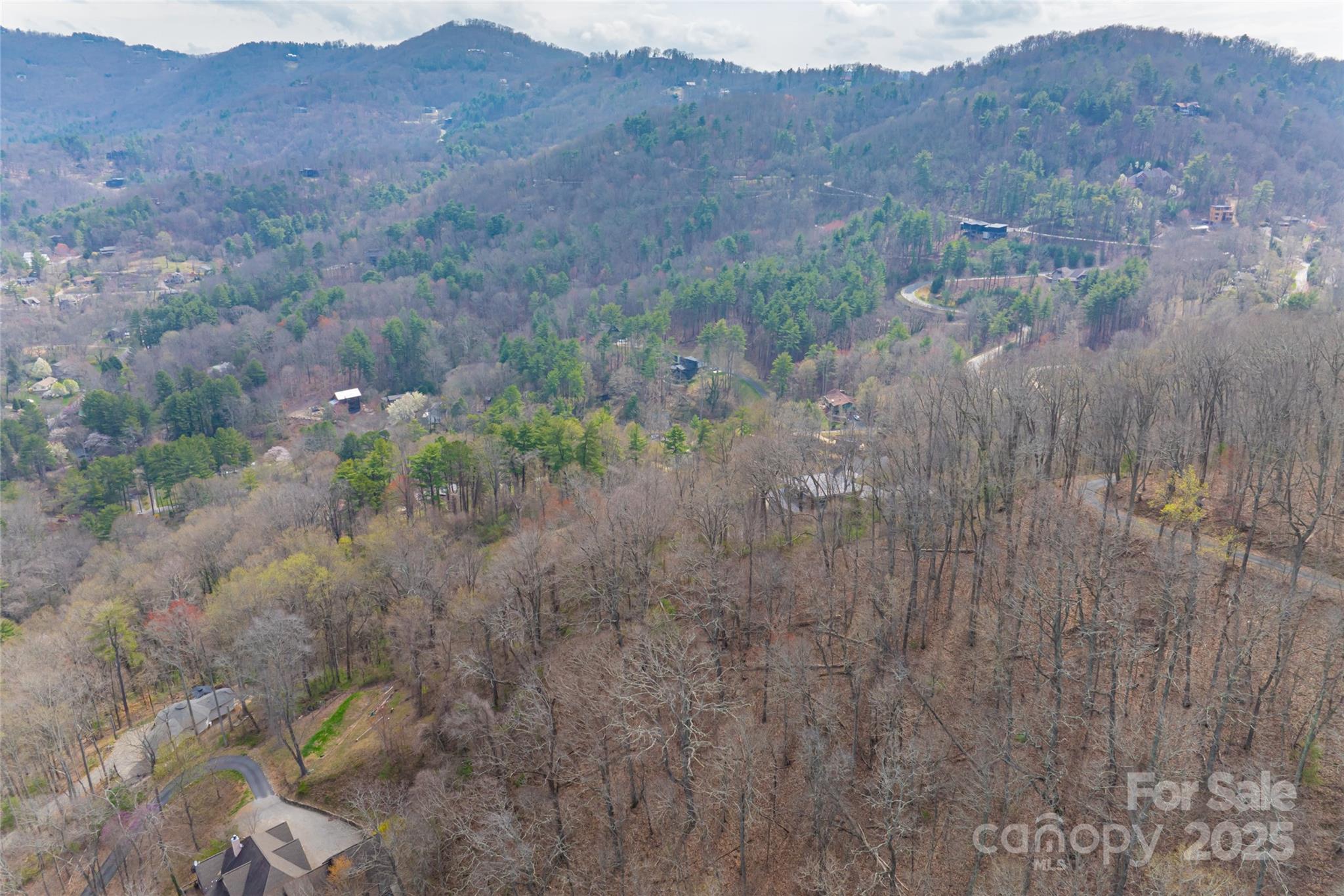 32 Grovepoint Way Asheville NC 28804