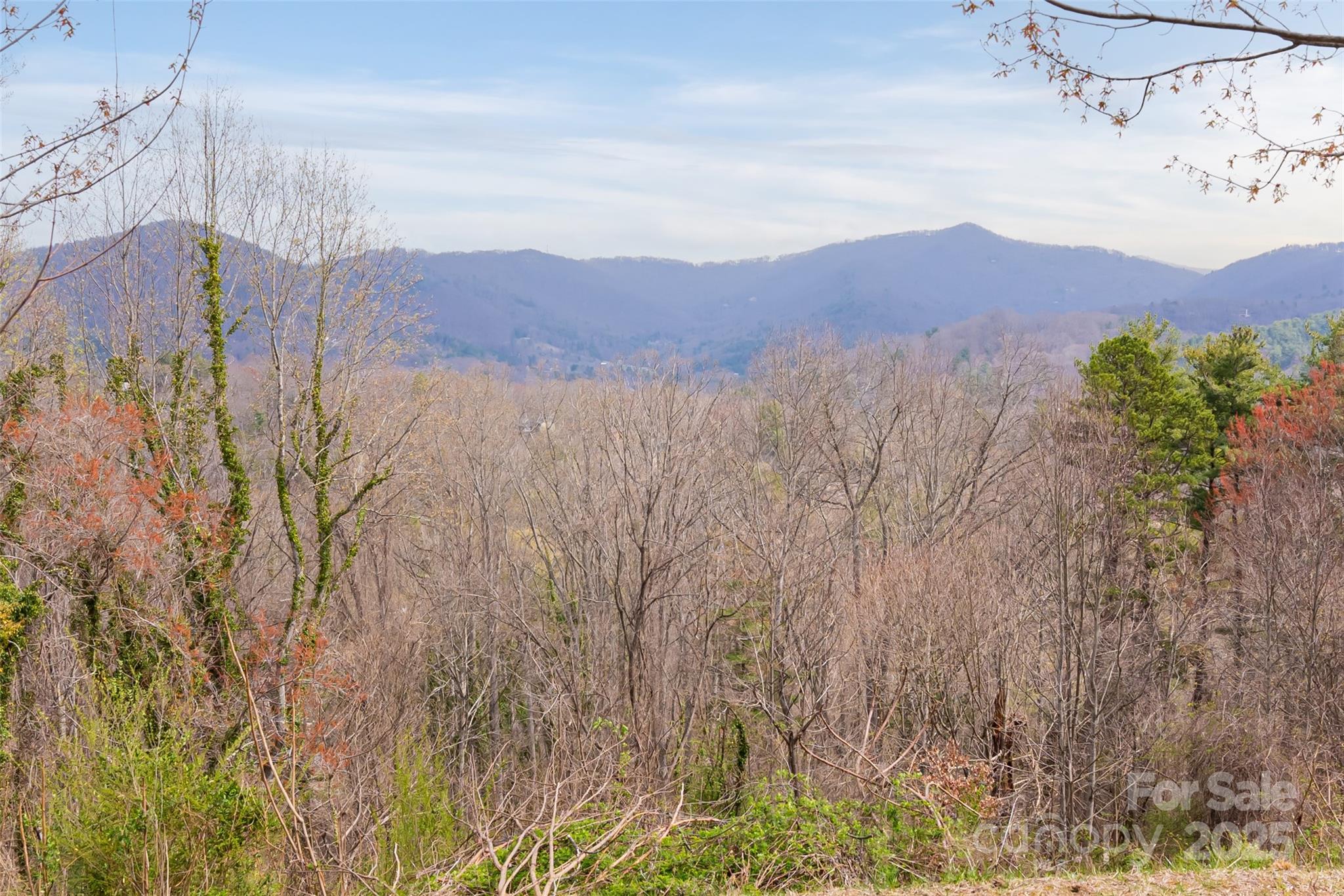 32 Grovepoint Way Asheville NC 28804