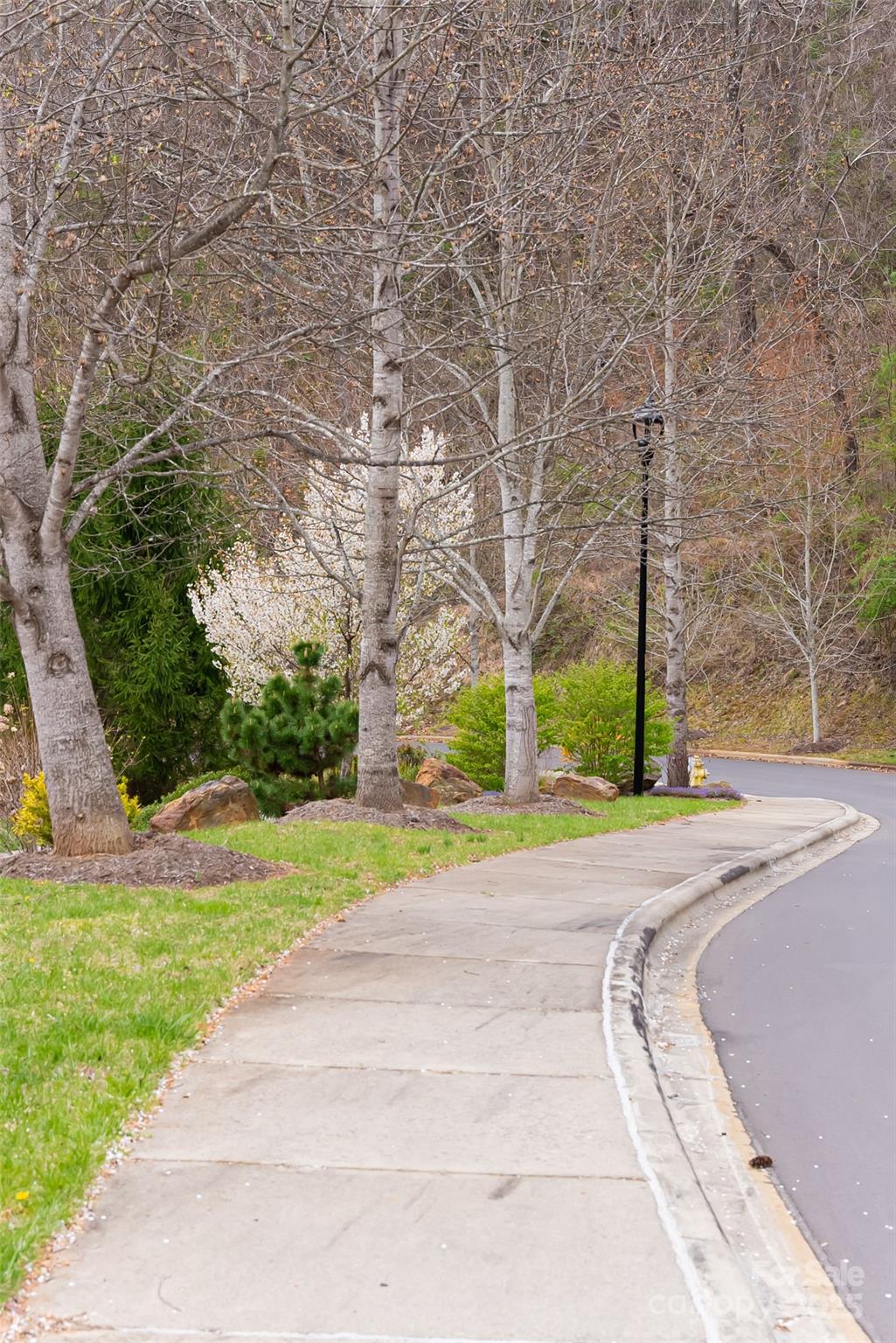 32 Grovepoint Way Asheville NC 28804