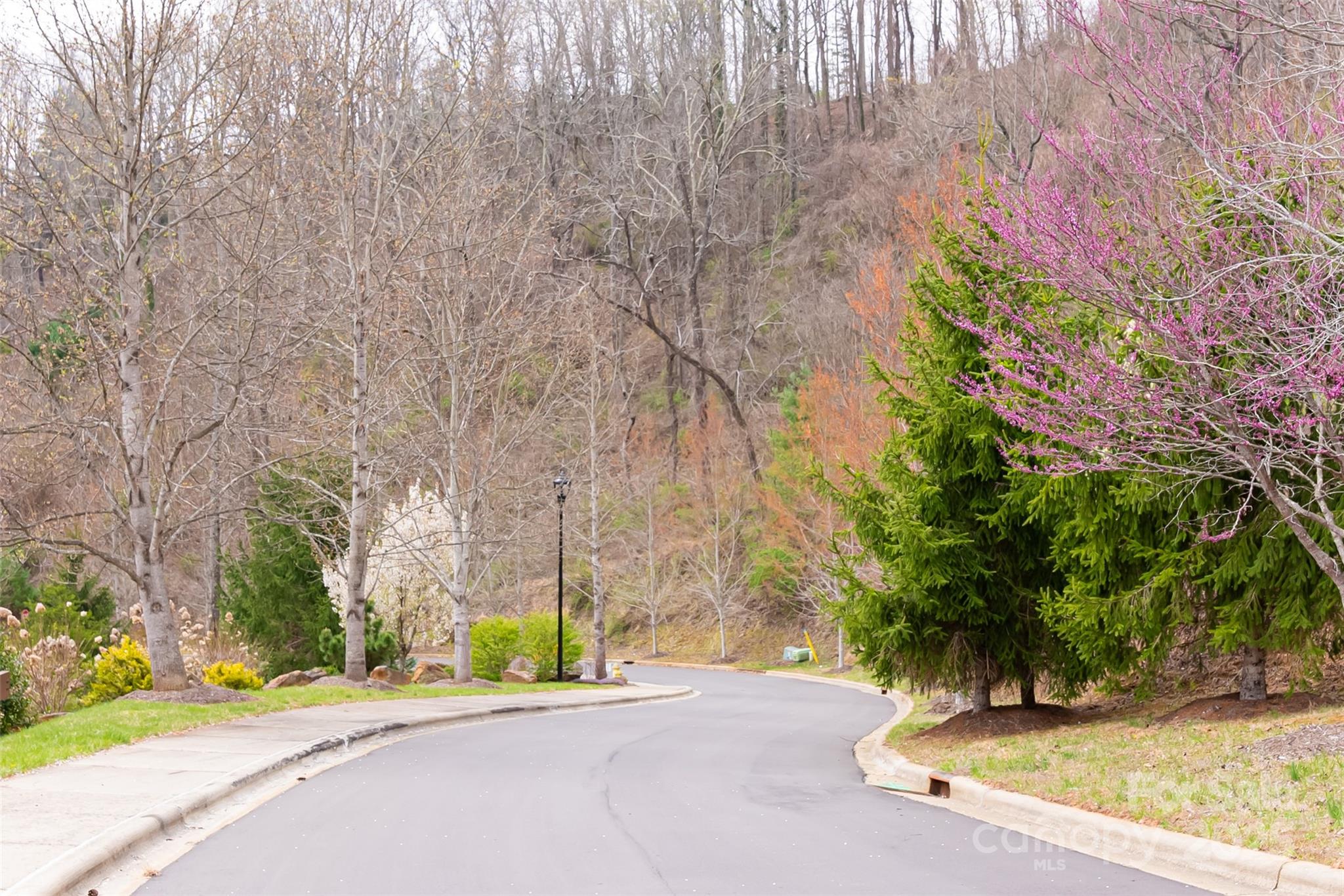32 Grovepoint Way Asheville NC 28804