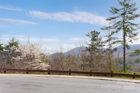 32 Grovepoint Way Asheville NC 28804