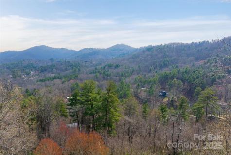 32 Grovepoint Way Asheville NC 28804
