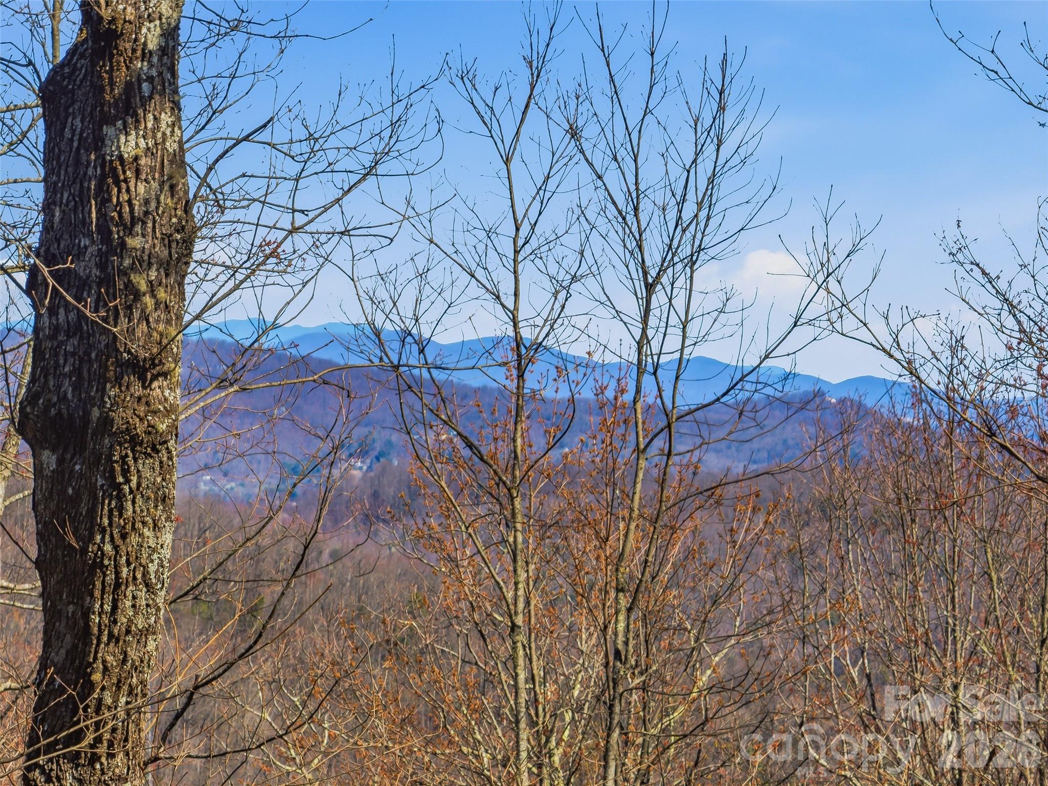 Tbd Panther Mountain Road Zirconia NC 28790