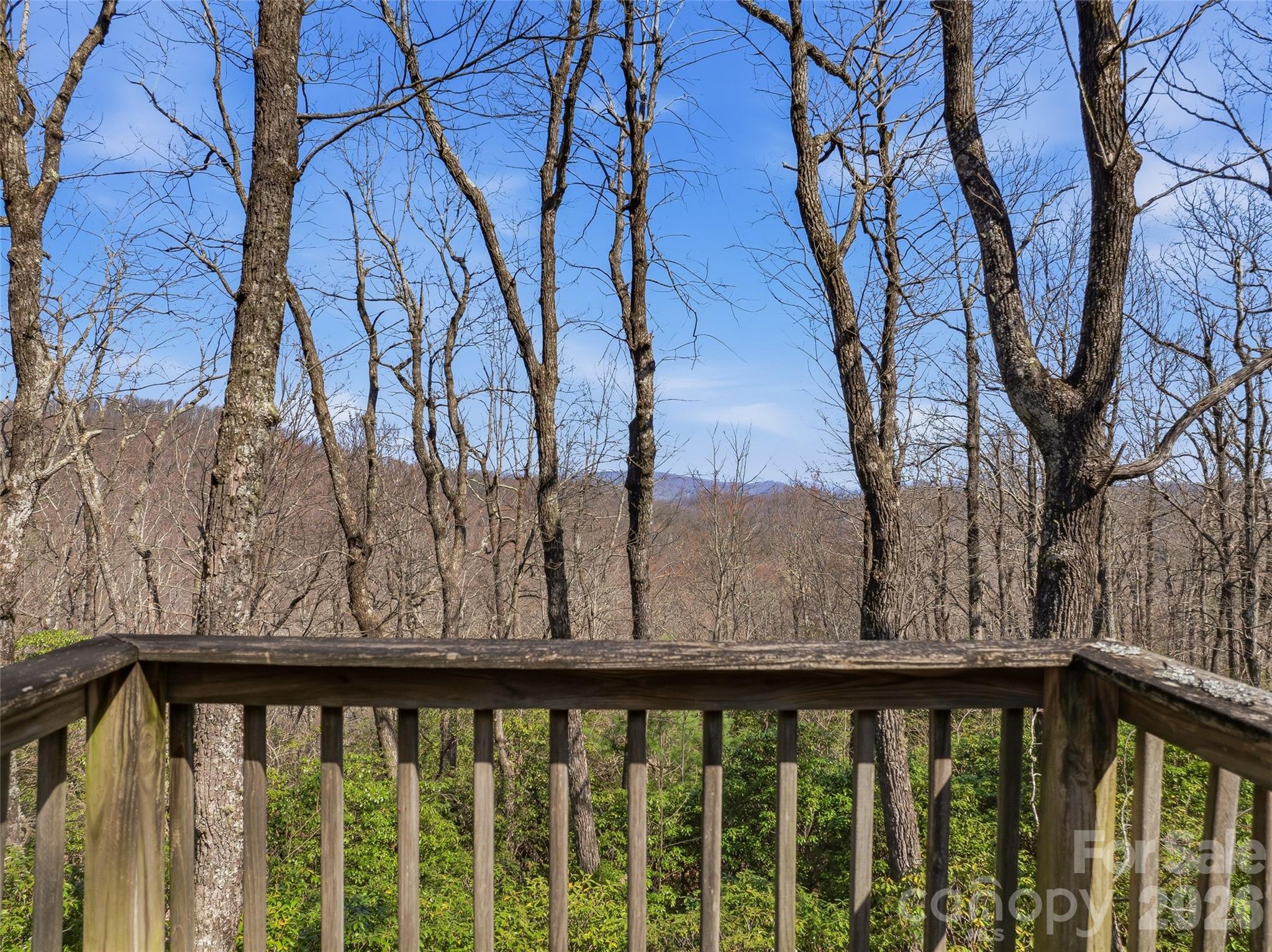 Tbd Panther Mountain Road Zirconia NC 28790