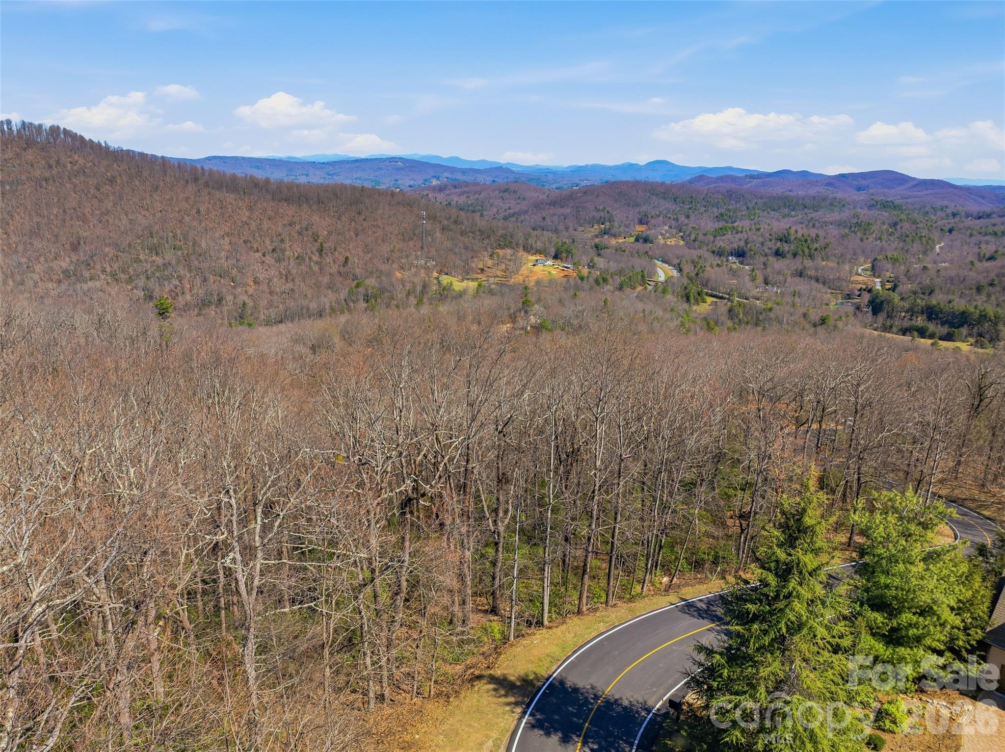 Tbd Panther Mountain Road Zirconia NC 28790