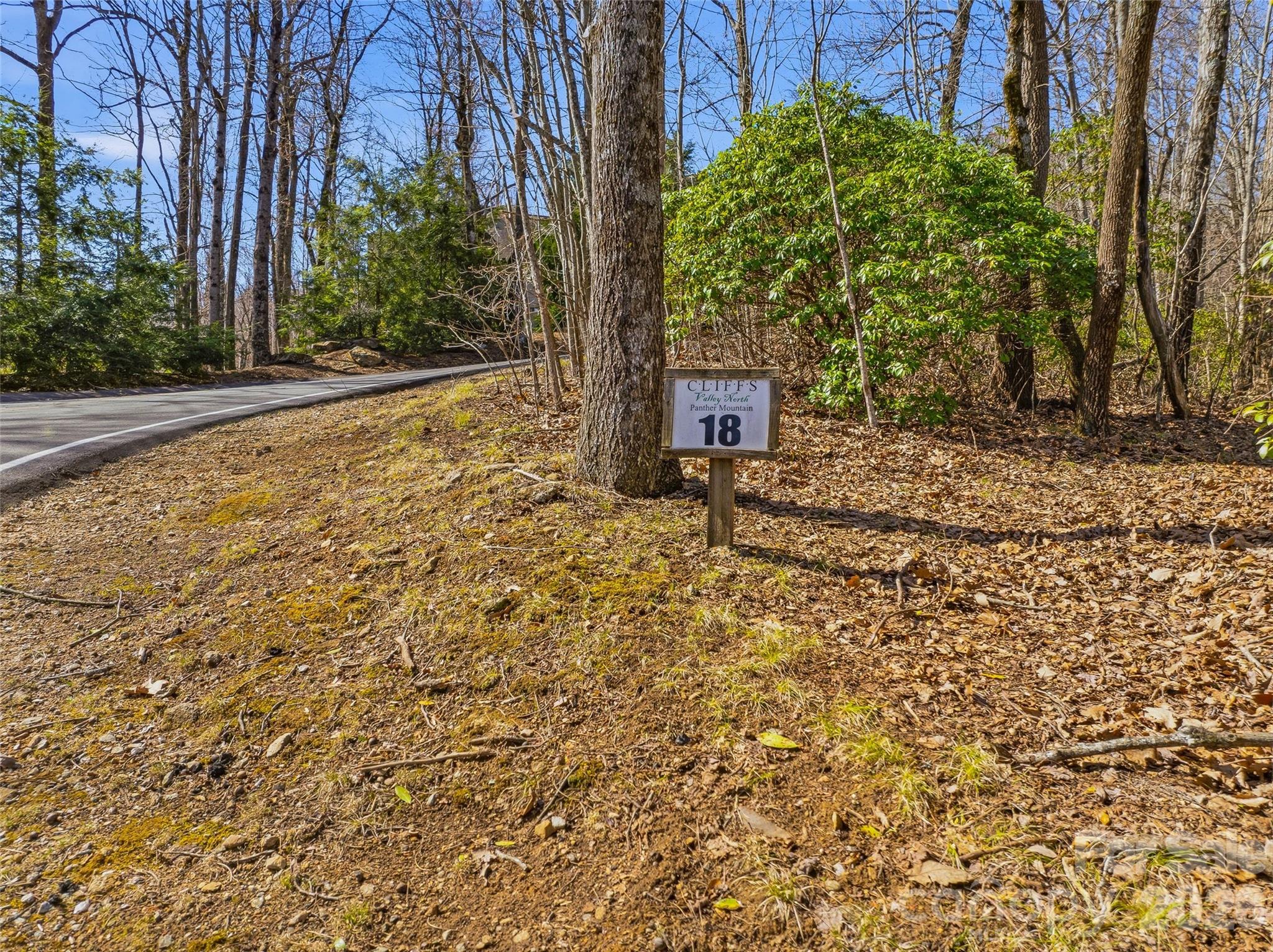 Tbd Panther Mountain Road Zirconia NC 28790
