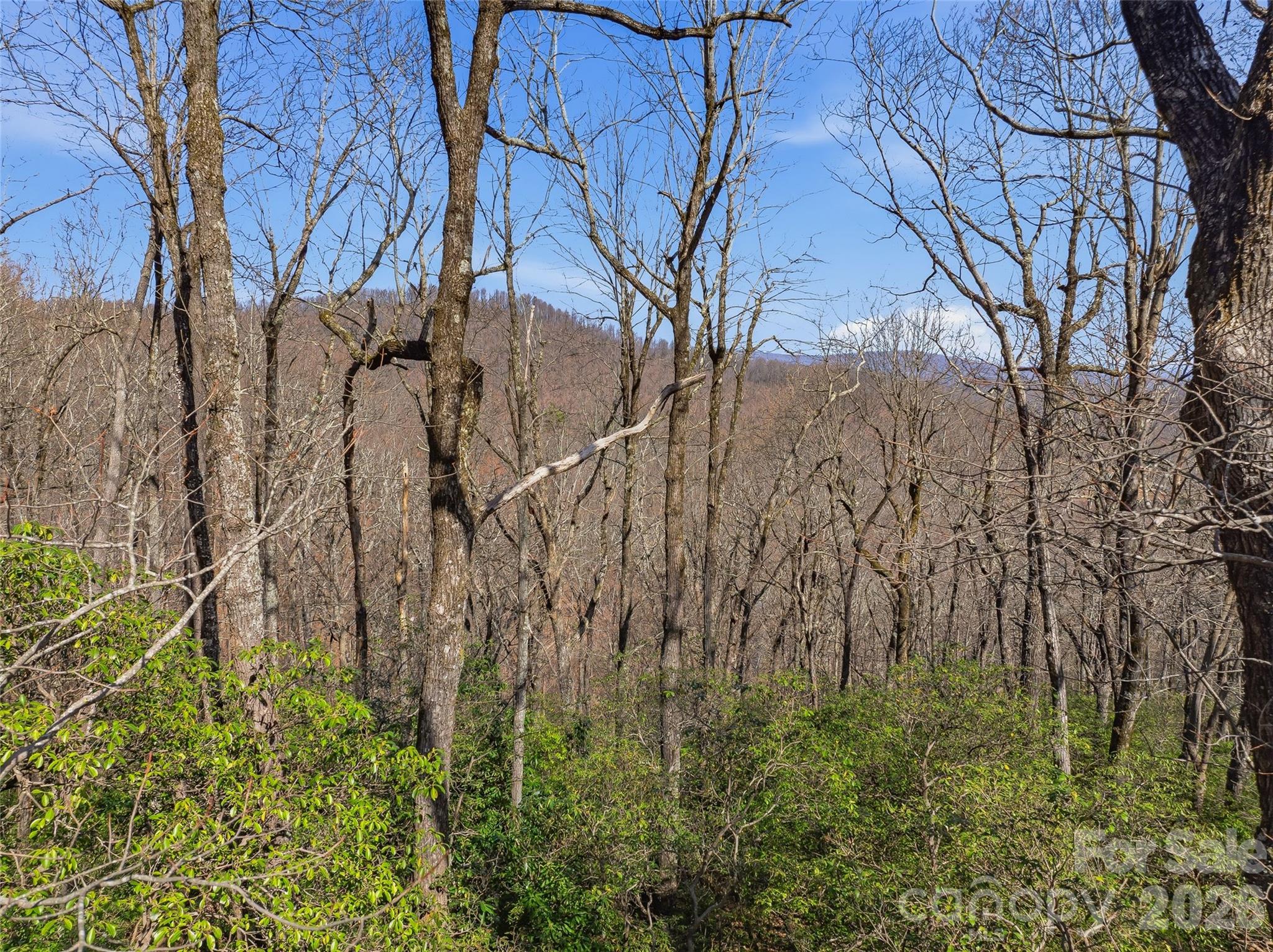Tbd Panther Mountain Road Zirconia NC 28790