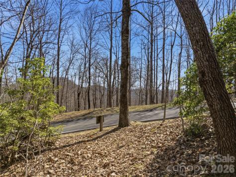 Tbd Panther Mountain Road Zirconia NC 28790