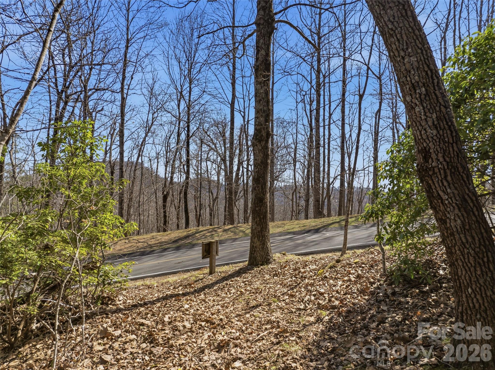 Tbd Panther Mountain Road Zirconia NC 28790