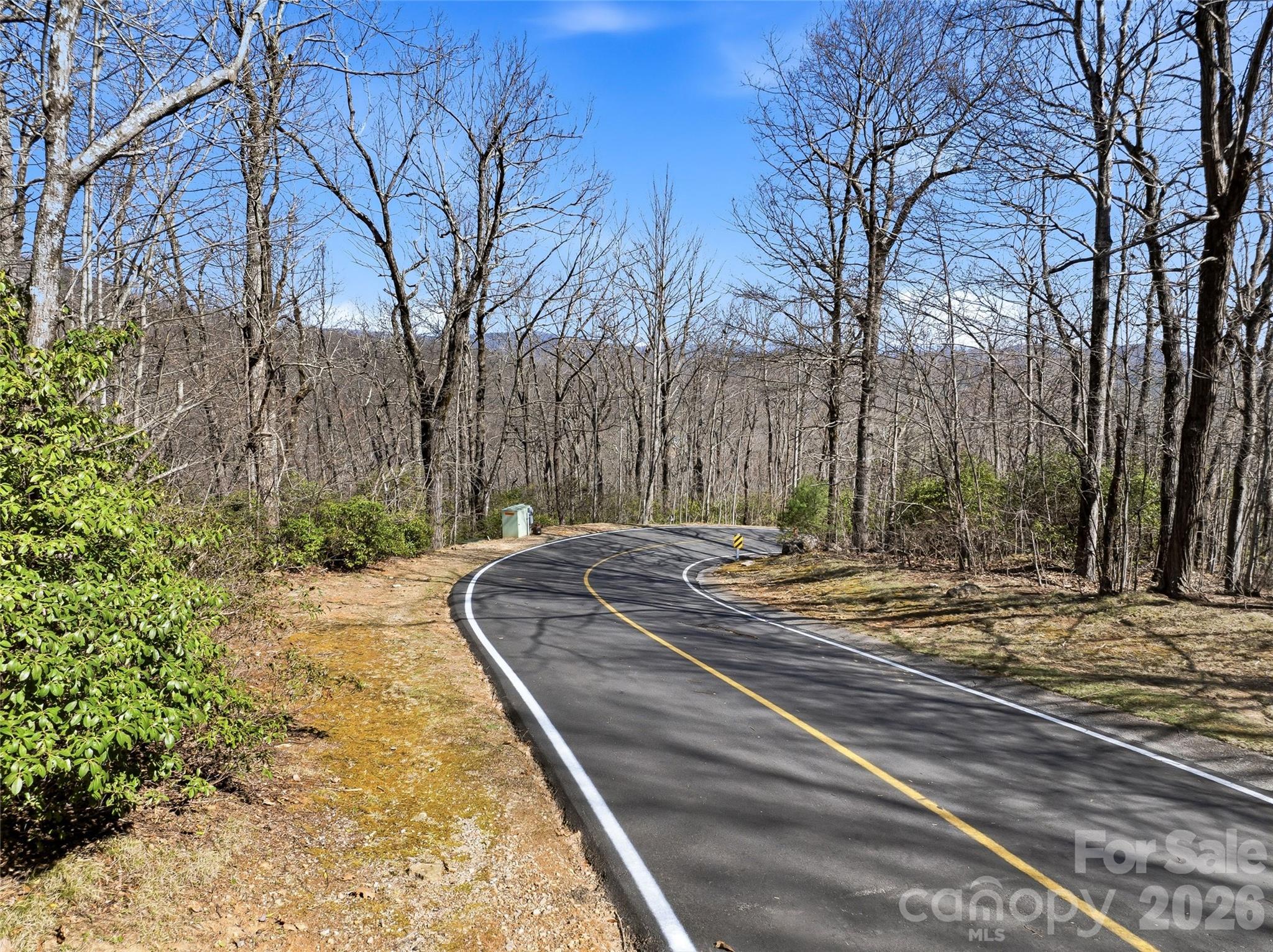 Tbd Panther Mountain Road Zirconia NC 28790