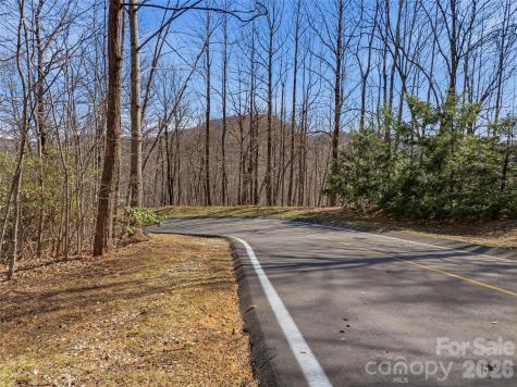 Tbd Panther Mountain Road Zirconia NC 28790