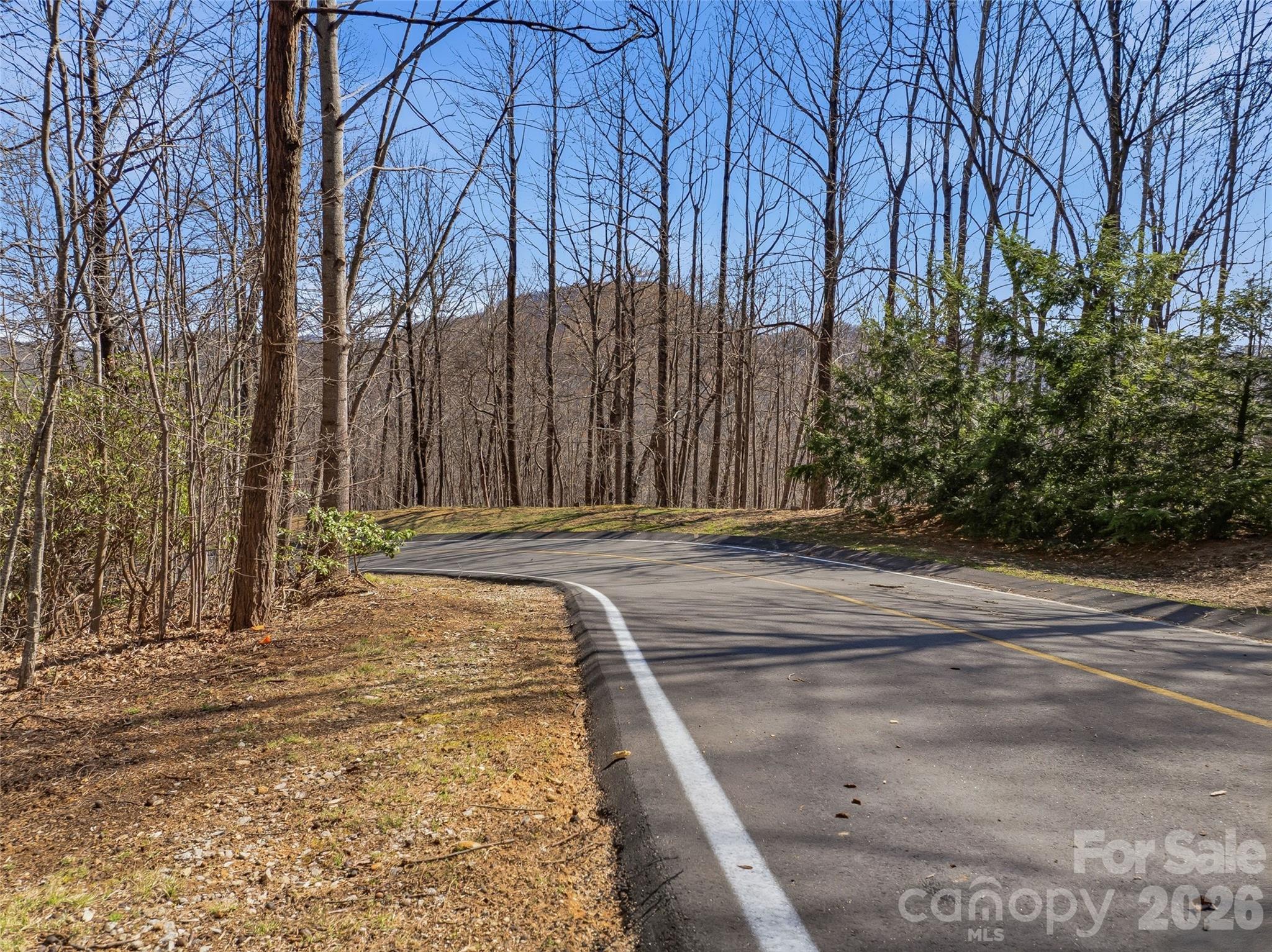 Tbd Panther Mountain Road Zirconia NC 28790