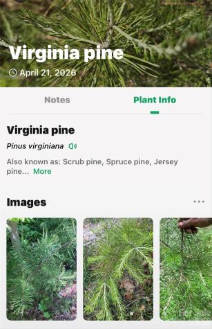 131-133 Mckenzie Way N Old Fort NC 28762