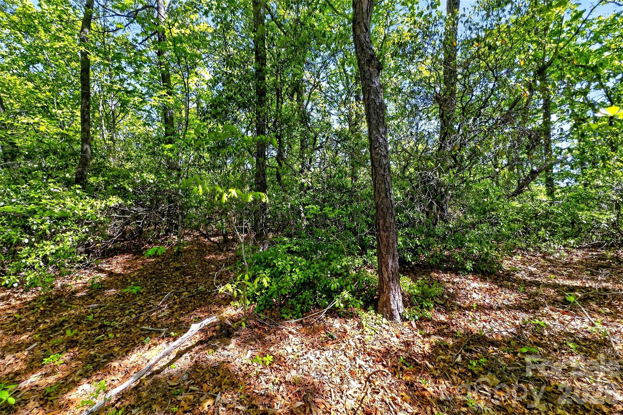 131-133 Mckenzie Way N Old Fort NC 28762