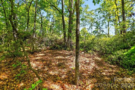 131-133 Mckenzie Way N Old Fort NC 28762