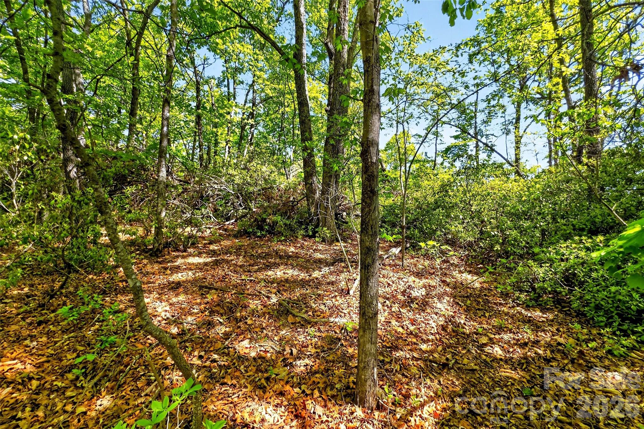 131-133 Mckenzie Way N Old Fort NC 28762