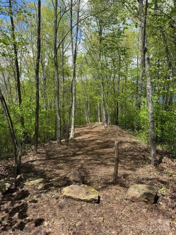 1817 E Reach Road Sylva NC 28779