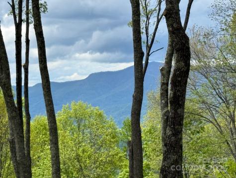 1817 E Reach Road Sylva NC 28779