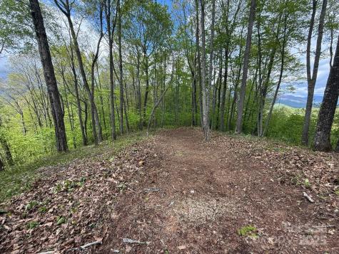 1817 E Reach Road Sylva NC 28779