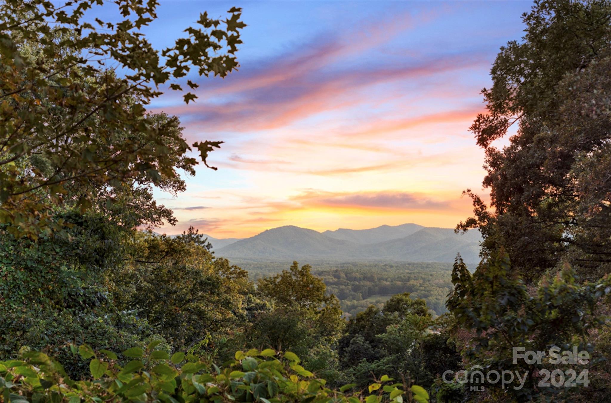38 Samuel Ashe Drive Asheville NC 28805
