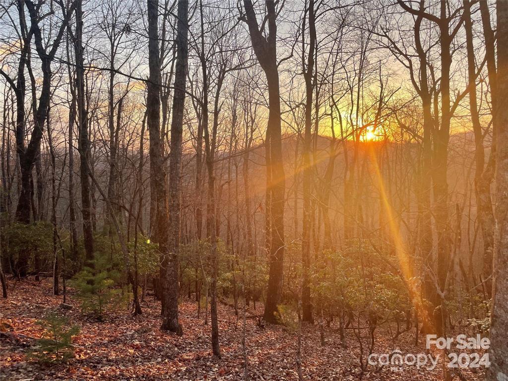 Tbd Connestee Trail Brevard NC 28712