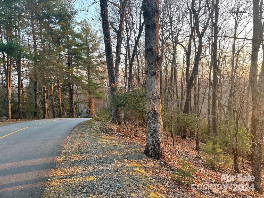 Tbd Connestee Trail Brevard NC 28712