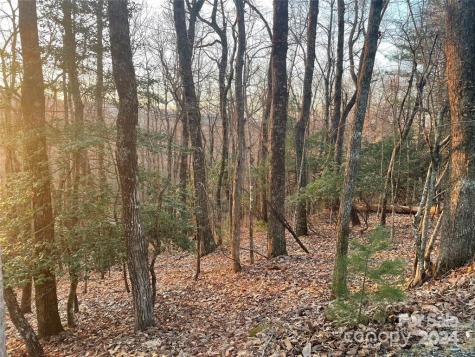Tbd Connestee Trail Brevard NC 28712
