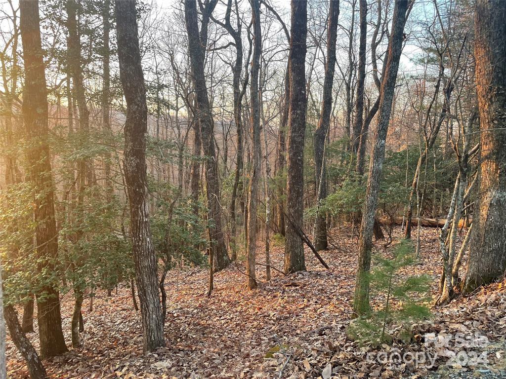 Tbd Connestee Trail Brevard NC 28712