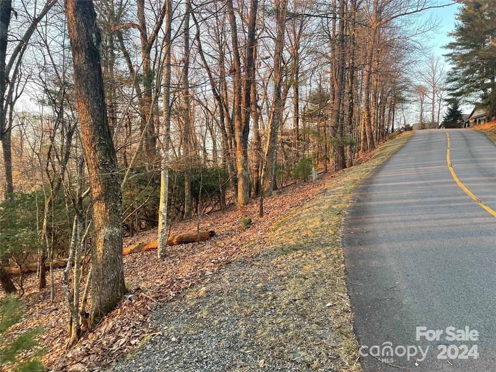 Tbd Connestee Trail Brevard NC 28712