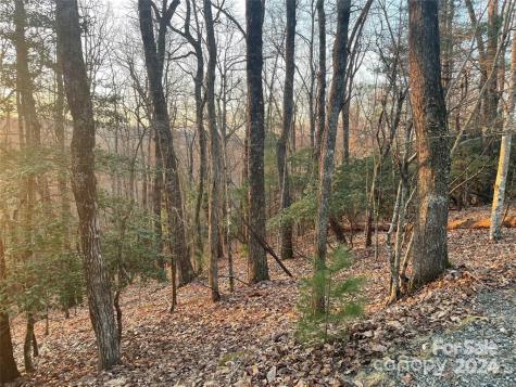 Tbd Connestee Trail Brevard NC 28712