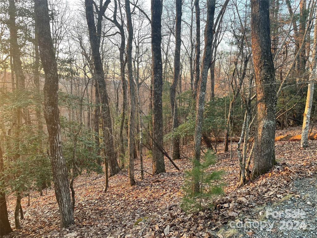 Tbd Connestee Trail Brevard NC 28712